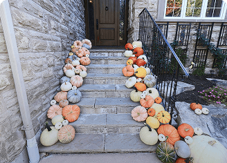 Luxury Fall