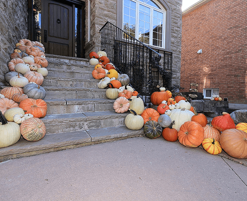 Welcome to your Fall happy place