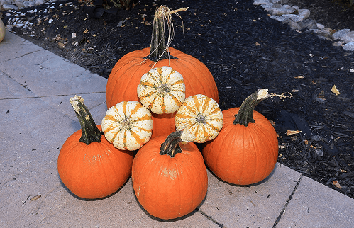 Pumpkin Pop Decor