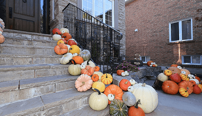 Magic Fall Home