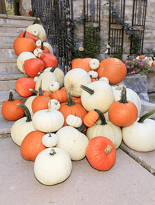 Classic Fall