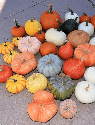 DIY Pumpkin Display