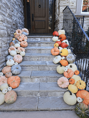 Luxury Fall